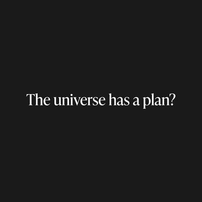 The universe has a plan? T-Shirt